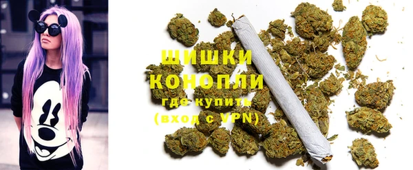 твердый Осинники