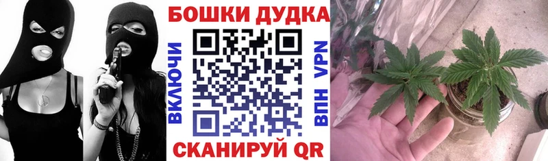 наркота  Карабаш  Шишки марихуана сатива 
